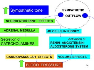 Sympathetic tone

SYMPATHETIC
OUTFLOW

NEUROENDOCRINE EFFECTS
ADRENAL MEDULLA

Secretion of
CATECHOLAMINES

JG CELLS IN KIDNEY
Activation of
RENIN- ANGIOTENSINALDOSTERONE SYSTEM

CARDIOVASCULAR EFFECTS

VOLUME EFFECTS

BLOOD PRESSURE

24

 