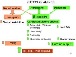 CATECHOLAMINES
Adrenaline

Noradrenaline

Dopamine

b- receptors

a- receptors
Vasoconstriction

Cardiostimulatory effects:
Automaticity (SANodal
discharge)

Heart Rate

Conductivity
Excitability
Myocardial contractility

TPR

Stroke volume

Cardiac output

BLOOD PRESSURE
25

 