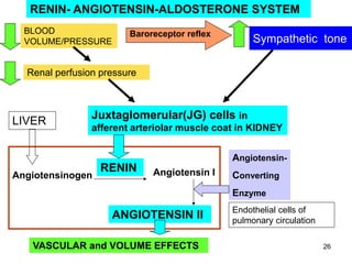 RENIN- ANGIOTENSIN-ALDOSTERONE SYSTEM
BLOOD
VOLUME/PRESSURE

Baroreceptor reflex

Sympathetic tone

Renal perfusion pressure

LIVER

Juxtaglomerular(JG) cells in
afferent arteriolar muscle coat in KIDNEY
Angiotensin-

Angiotensinogen

RENIN

Angiotensin I

Converting

Enzyme

ANGIOTENSIN II
VASCULAR and VOLUME EFFECTS

Endothelial cells of
pulmonary circulation
26

 