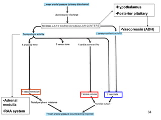 •Hypothalamus

•Posterior pituitary

•Vasopressin (ADH)

•Adrenal
medulla

•RAA system

34

 