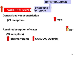 HYPOTHALAMUS

VASOPRESSIN

POSTERIOR
PITUITARY

Generalized vasoconstriction

(V1 receptors)

TPR

Renal reabsorption of water

BP

(V2 receptors)
plasma volume

CARDIAC OUTPUT

35

 