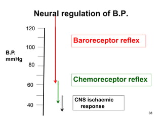 Neural regulation of B.P.
120

Baroreceptor reflex
100
B.P.
mmHg
80

60

40

Chemoreceptor reflex
CNS ischaemic
response
38

 