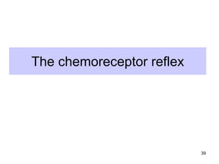 The chemoreceptor reflex

39

 