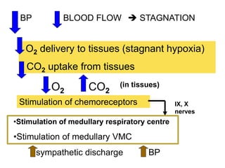 BP

BLOOD FLOW  STAGNATION

O2 delivery to tissues (stagnant hypoxia)
CO2 uptake from tissues

O2

CO2

(in tissues)

Stimulation of chemoreceptors

IX, X
nerves

•Stimulation of medullary respiratory centre

•Stimulation of medullary VMC
sympathetic discharge

BP

 