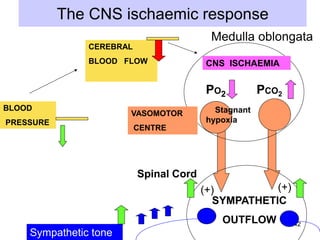 The CNS ischaemic response
Medulla oblongata
CEREBRAL
BLOOD FLOW

CNS ISCHAEMIA

PO2
BLOOD
PRESSURE

VASOMOTOR

PCO2

Stagnant
hypoxia

CENTRE

Spinal Cord
(+)
(+)
SYMPATHETIC
OUTFLOW
Sympathetic tone

42

 