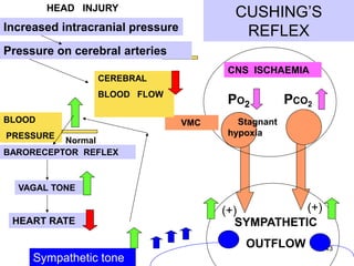 CUSHING’S
REFLEX

HEAD INJURY

Increased intracranial pressure
Pressure on cerebral arteries

CNS ISCHAEMIA

CEREBRAL
BLOOD FLOW
BLOOD
PRESSURE

Normal
BARORECEPTOR REFLEX

PO2
VMC

PCO2

Stagnant
hypoxia

VAGAL TONE

HEART RATE

(+)
(+)
SYMPATHETIC
OUTFLOW

Sympathetic tone

43

 