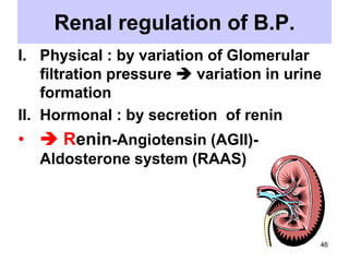 Renal regulation of B.P.
I. Physical : by variation of Glomerular
filtration pressure  variation in urine
formation
II. Hormonal : by secretion of renin

•  Renin-Angiotensin (AGII)Aldosterone system (RAAS)

46

 