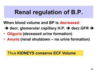 Renal regulation of B.P.
When blood volume and BP is decreased:
 decr. glomerular capillary H.P.  decr.GFR 
• Oliguria (deceased urine formation)
• Anuria (renal shutdown – no urine formation)

Thus KIDNEYS conserve ECF Volume

48

 