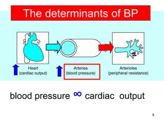 The determinants of BP

blood pressure ∞ cardiac output
8

 