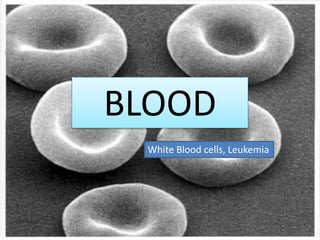 BLOOD
White Blood cells, Leukemia
 