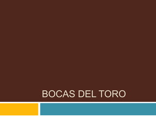 BOCAS DEL TORO 
 