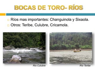  Ríos mas importantes: Changuinola y Sixaola. 
 Otros: Teribe, Culubre, Cricamola. 
Río Culubre Río Teribe 
 