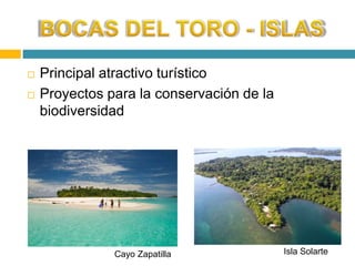  Principal atractivo turístico 
 Proyectos para la conservación de la 
biodiversidad 
Cayo Zapatilla Isla Solarte 
 