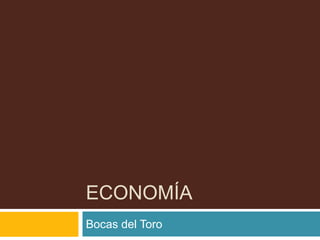 ECONOMÍA 
Bocas del Toro 
 