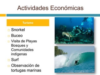 Actividades Económicas 
Turismo 
 Snorkel 
 Buceo 
 Visita de Playas 
Bosques y 
Comunidades 
indígenas 
 Surf 
 Observación de 
tortugas marinas 
 