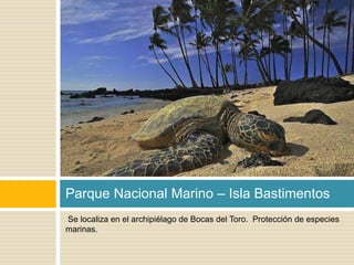 Parque Nacional Marino – Isla Bastimentos 
Se localiza en el archipiélago de Bocas del Toro. Protección de especies 
marinas. 
