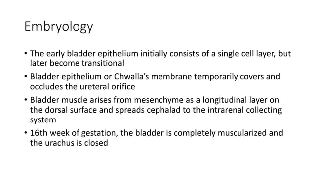 Bladder outlet obstruction in children