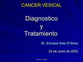 CANCER VESICAL Diagnostico y Tratamiento   Dr. Enrique Sala O’Shea 24 de Junio de 2003 