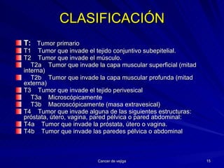 CLASIFICACIÓN T:   Tumor primario T1  Tumor que invade el tejido conjuntivo subepitelial. T2  Tumor que invade el músculo. T2a  Tumor que invade la capa muscular superficial (mitad interna) T2b  Tumor que invade la capa muscular profunda (mitad externa) T3  Tumor que invade el tejido perivesical T3a  Microscópicamente T3b  Macroscópicamente (masa extravesical) T4  Tumor que invade alguna de las siguientes estructuras: próstata, útero, vagina, pared pélvica o pared abdominal: T4a  Tumor que invade la próstata, útero o vagina. T4b  Tumor que invade las paredes pélvica o abdominal  