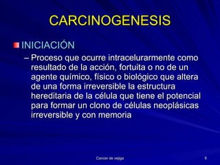 CARCINOGENESIS INICIACIÓN Proceso que ocurre intracelurarmente como resultado de la acción, fortuita o no de un agente químico, físico o biológico que altera de una forma irreversible la estructura hereditaria de la célula que tiene el potencial para formar un clono de células neoplásicas irreversible y con memoria 