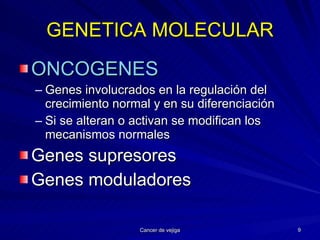 GENETICA MOLECULAR ONCOGENES Genes involucrados en la regulación del crecimiento normal y en su diferenciación Si se alteran o activan se modifican los mecanismos normales Genes supresores   Genes moduladores 