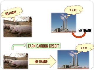 METHANE CO 2 METHANE CO 2 EARN CARBON CREDIT METHANE 