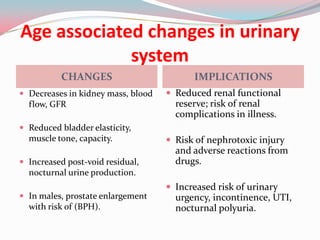 Age associated changes in urinary
             system
          CHANGES                         IMPLICATIONS
 Decreases in kidney mass, blood    Reduced renal functional
  flow, GFR                           reserve; risk of renal
                                      complications in illness.
 Reduced bladder elasticity,
  muscle tone, capacity.             Risk of nephrotoxic injury
                                      and adverse reactions from
 Increased post-void residual,       drugs.
  nocturnal urine production.
                                     Increased risk of urinary
 In males, prostate enlargement      urgency, incontinence, UTI,
  with risk of (BPH).                 nocturnal polyuria.
 