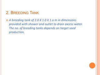 2. BREEDING TANK
 A breeding tank of 2.0 X 1.0 X 1.o m in dimensions
provided with shower and outlet to drain excess water.
The no. of breeding tanks depends on target seed
production.
 