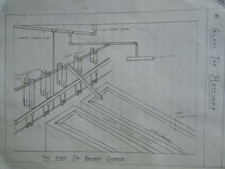 Carp hatchery