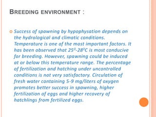 BREEDING ENVIRONMENT :
 Success of spawning by hypophysation depends on
the hydrological and climatic conditions.
Temperature is one of the most important factors. It
has been observed that 250-280C is most conducive
for breeding. However, spawning could be induced
at or below this temperature range. The percentage
of fertilization and hatching under uncontrolled
conditions is not very satisfactory. Circulation of
fresh water containing 5-9 mg/liters of oxygen
promotes better success in spawning, higher
fertilization of eggs and higher recovery of
hatchlings from fertilized eggs.
 