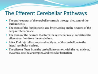 The Efferent Cerebellar Pathways
 The entire output of the cerebellar cortex is through the axons of the
Purkinje cells.
 The axons of the Purkinje cells end by synapsing on the neurons of the
deep cerebellar nuclei.
 The axons of the neurons that form the cerebellar nuclei constitute the
efferent outflow from the cerebellum.
 A few Purkinje cell axons pass directly out of the cerebellum to the
lateral vestibular nucleus.
 The efferent fibers from the cerebellum connect with the red nucleus,
thalamus, vestibular complex, and reticular formation
 