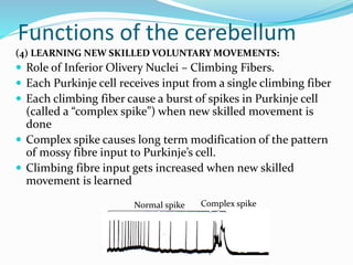 Functions of the cerebellum
(4) LEARNING NEW SKILLED VOLUNTARY MOVEMENTS:
 Role of Inferior Olivery Nuclei – Climbing Fibers.
 Each Purkinje cell receives input from a single climbing fiber
 Each climbing fiber cause a burst of spikes in Purkinje cell
(called a “complex spike”) when new skilled movement is
done
 Complex spike causes long term modification of the pattern
of mossy fibre input to Purkinje’s cell.
 Climbing fibre input gets increased when new skilled
movement is learned
Normal spike Complex spike
 