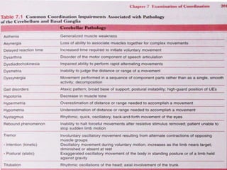 Cerebellum.ppt