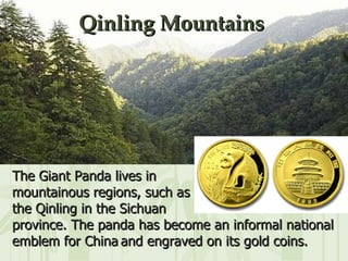 Qinling Mountains The Giant Panda lives in  mountainous regions, such as  the Qinling in the Sichuan  province. The panda has become an informal national emblem for China   and engraved on its gold coins. 