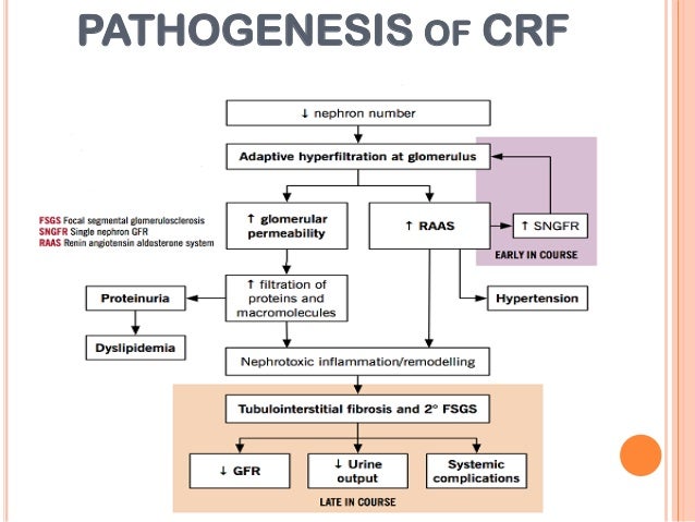 Chronic Renal Failure