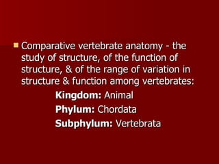 Comparative vertebrate anatomy - the study of structure, of the function of structure, & of the range of variation in structure & function among vertebrates:  Kingdom:  Animal  Phylum:  Chordata  Subphylum:  Vertebrata 