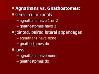 Agnathans vs. Gnathostomes:   semicircular canals  agnathans have 1 or 2  gnathostomes have 3  jointed, paired lateral appendages  agnathans  have none   gnathostomes do  jaws  agnathans have none  gnathostomes do  