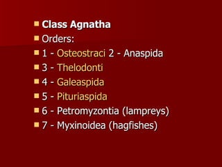 Class Agnatha   Orders:  1 -  Osteostraci  2 - Anaspida  3 -  Thelodonti   4 -  Galeaspida   5 -  Pituriaspida   6 - Petromyzontia (lampreys)  7 - Myxinoidea (hagfishes) 