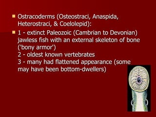 Ostracoderms (Osteostraci, Anaspida, Heterostraci, & Coelolepid):  1 - extinct Paleozoic (Cambrian to Devonian) jawless fish with an external skeleton of bone ('bony armor')  2 - oldest known vertebrates  3 - many had flattened appearance (some may have been bottom-dwellers) 