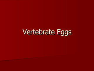 Vertebrate Eggs 