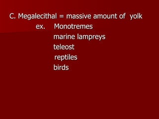 C. Megalecithal = massive amount of  yolk ex.  Monotremes marine lampreys teleost   reptiles  birds 