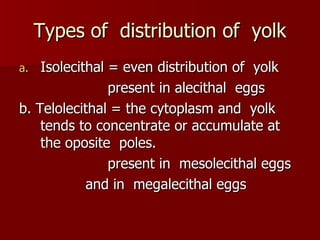 Types of  distribution of  yolk Isolecithal = even distribution of  yolk present in alecithal  eggs b. Telolecithal = the cytoplasm and  yolk tends to concentrate or accumulate at  the oposite  poles. present in  mesolecithal eggs  and in  megalecithal eggs 