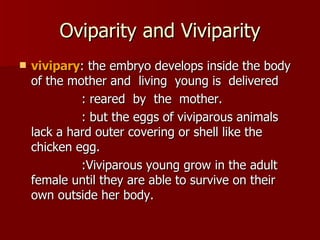 Oviparity and Viviparity vivipary : the embryo develops inside the body of the mother and  living  young is  delivered : reared  by  the  mother. : but the eggs of viviparous animals lack a hard outer covering or shell like the chicken egg.  :Viviparous young grow in the adult female until they are able to survive on their own outside her body.  