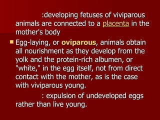 :developing fetuses of viviparous animals are connected to a  placenta  in the mother's body  Egg-laying, or  oviparous , animals obtain all nourishment as they develop from the yolk and the protein-rich albumen, or &quot;white,&quot; in the egg itself, not from direct contact with the mother, as is the case with viviparous young.  : expulsion of undeveloped eggs rather than live young.  