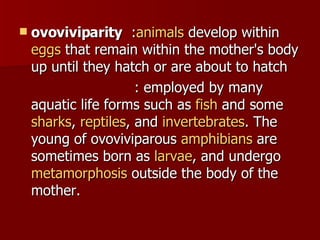 ovoviviparity   : animals  develop within  eggs  that remain within the mother's body up until they hatch or are about to hatch  : employed by many aquatic life forms such as  fish  and some  sharks ,  reptiles , and  invertebrates . The young of ovoviviparous  amphibians  are sometimes born as  larvae , and undergo  metamorphosis  outside the body of the mother. 