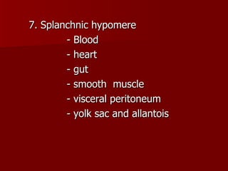 7. Splanchnic hypomere - Blood  - heart - gut - smooth  muscle - visceral peritoneum - yolk sac and allantois 