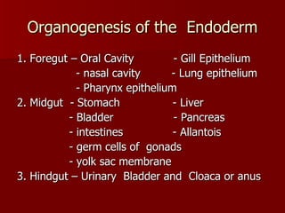 Organogenesis of the  Endoderm 1. Foregut – Oral Cavity   - Gill Epithelium - nasal cavity  - Lung epithelium - Pharynx epithelium 2. Midgut  - Stomach   - Liver - Bladder   - Pancreas - intestines   - Allantois - germ cells of  gonads  - yolk sac membrane  3. Hindgut – Urinary  Bladder and  Cloaca or anus 