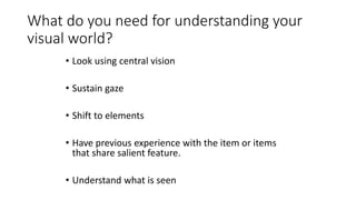 What do you need for understanding your
visual world?
• Look using central vision
• Sustain gaze
• Shift to elements
• Have previous experience with the item or items
that share salient feature.
• Understand what is seen
 