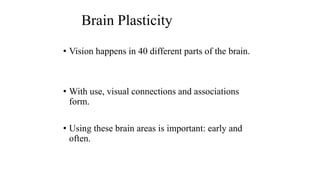 Brain Plasticity
• Vision happens in 40 different parts of the brain.
• With use, visual connections and associations
form.
• Using these brain areas is important: early and
often.
 