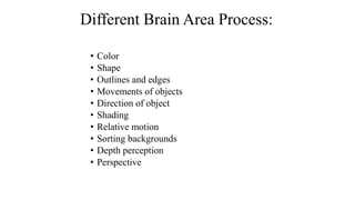 Different Brain Area Process:
• Color
• Shape
• Outlines and edges
• Movements of objects
• Direction of object
• Shading
• Relative motion
• Sorting backgrounds
• Depth perception
• Perspective
 